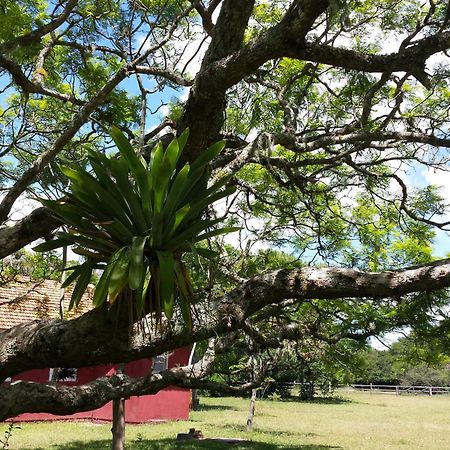 Aldeia Santuario Das Aves Tavares Стая снимка