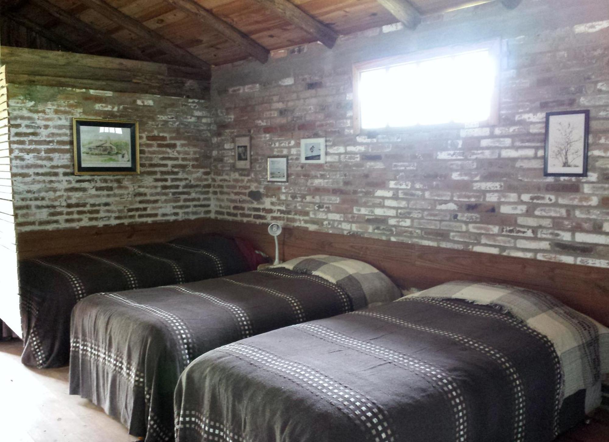 Aldeia Santuario Das Aves Tavares Стая снимка