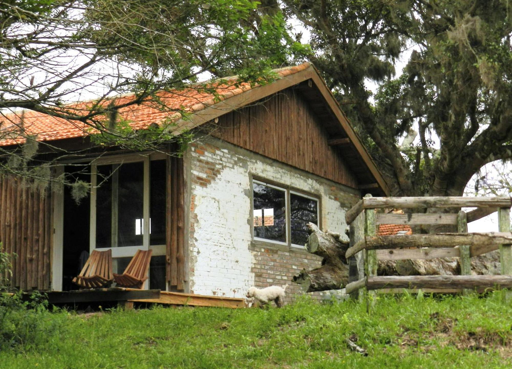 Aldeia Santuario Das Aves Tavares Стая снимка