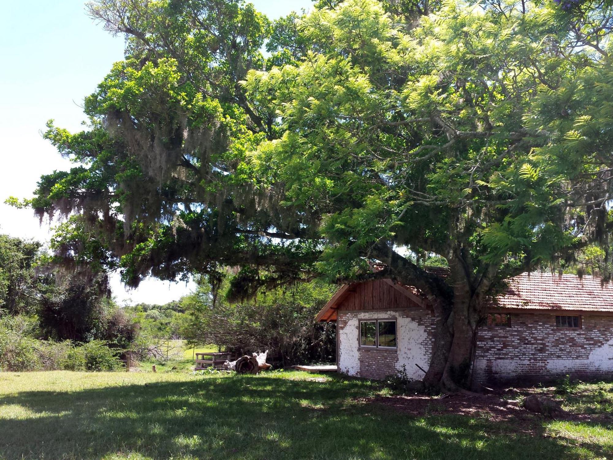 Aldeia Santuario Das Aves Tavares Стая снимка
