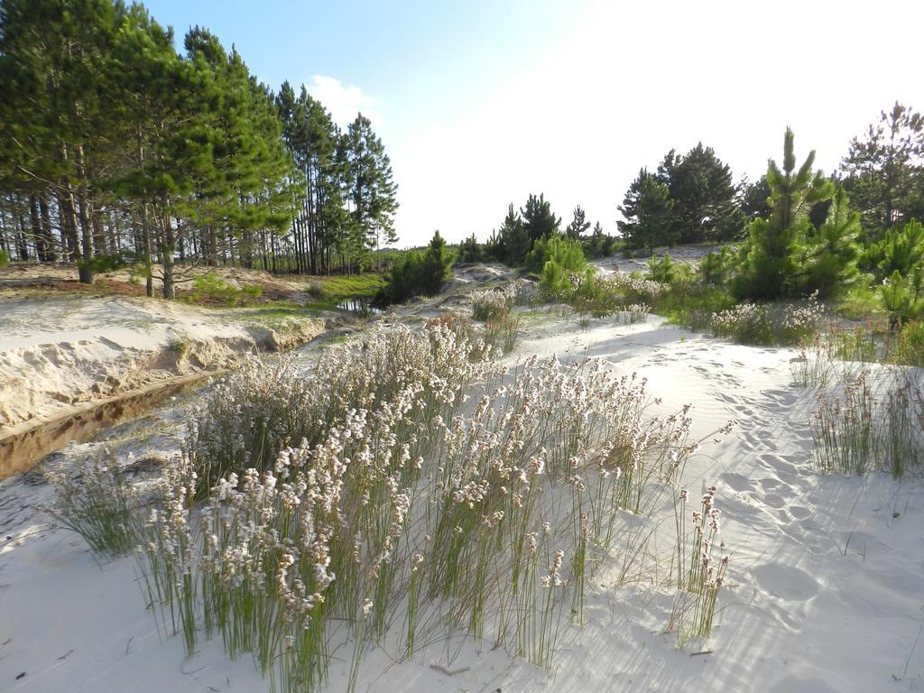 Aldeia Santuario Das Aves Tavares Екстериор снимка