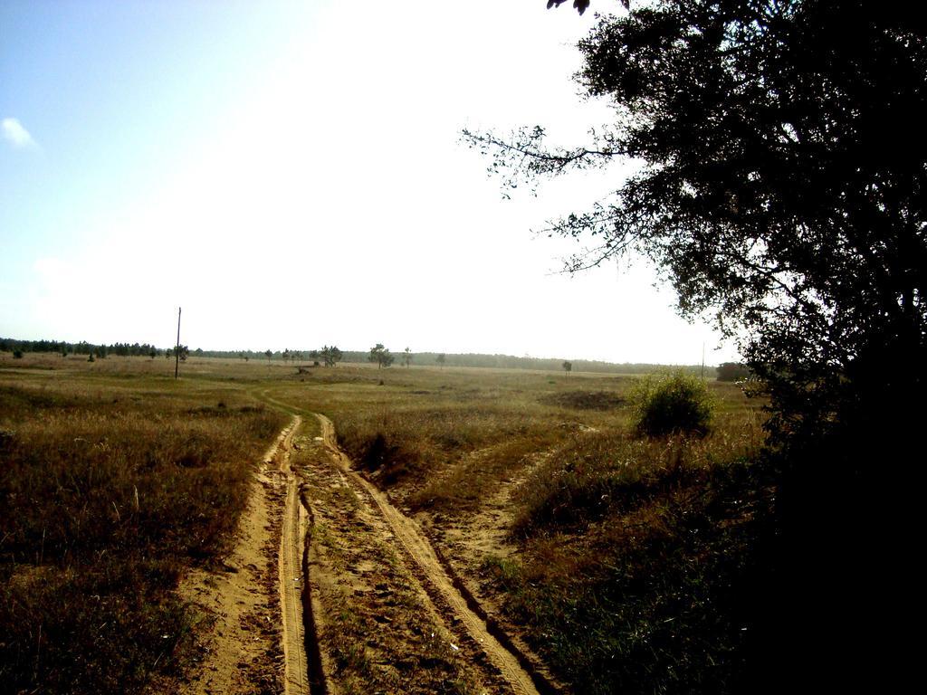 Aldeia Santuario Das Aves Tavares Екстериор снимка