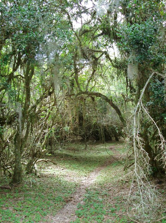 Aldeia Santuario Das Aves Tavares Екстериор снимка