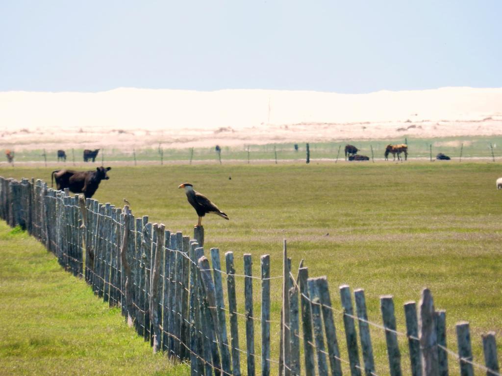 Aldeia Santuario Das Aves Tavares Екстериор снимка